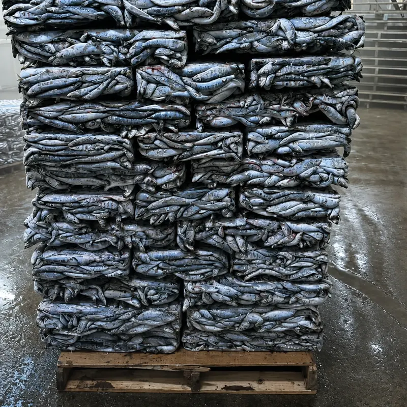 Sardines